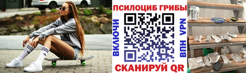 Галлюциногенные грибы прущие грибы  купить наркотики цена  Моршанск 