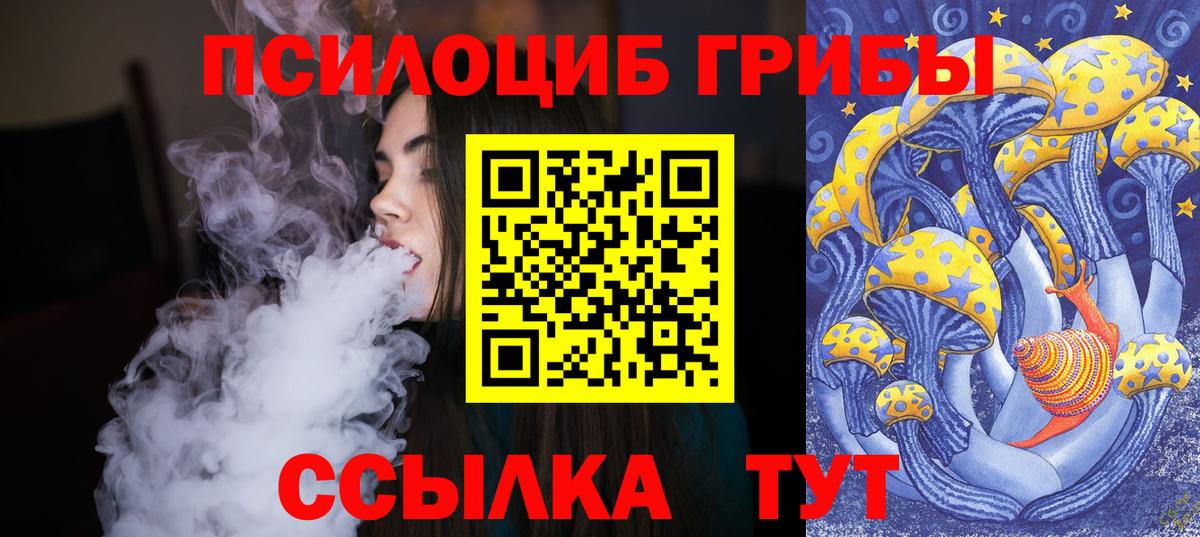 Галлюциногенные грибы прущие грибы  Вход с VPN  Псилоцибиновые грибы Magic Shrooms  Моршанск 