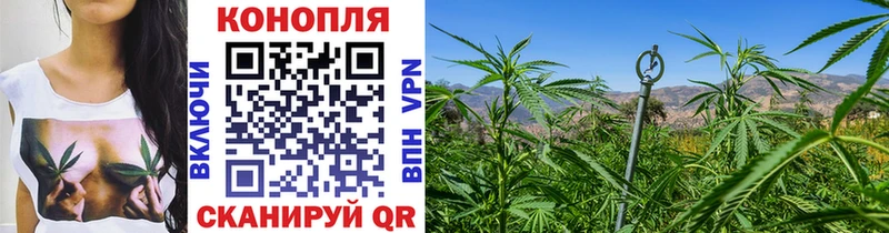 МАРИХУАНА SATIVA & INDICA  Моршанск 